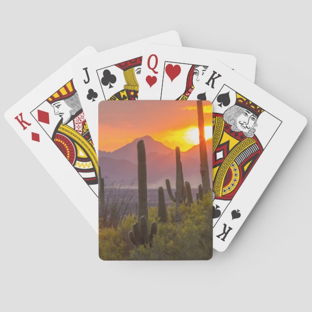 Desert cactus sunset, Arizona Playing Cards (Back)