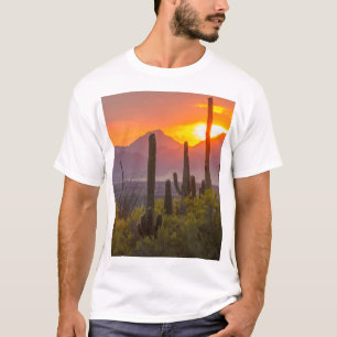 Desert cactus sunset, Arizona T-Shirt