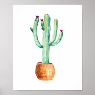 Desert cactus watercolour drawing poster