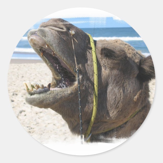 Desert Camel Stickers (Front)