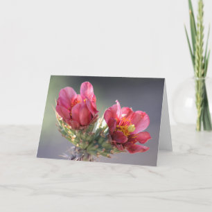 Desert Cholla Bloom Card