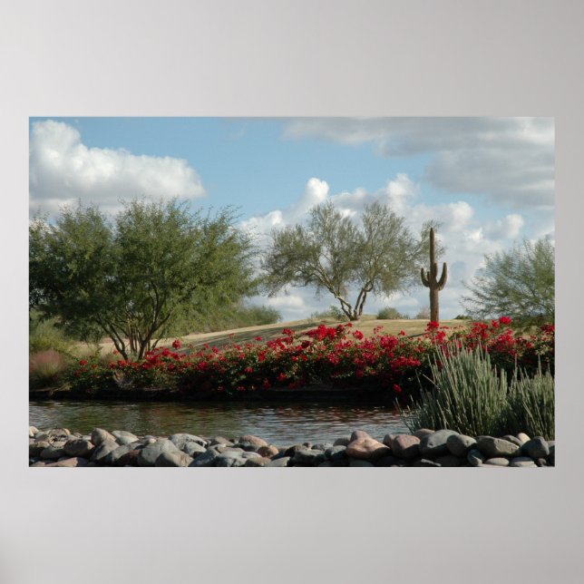 Desert Creek Poster (Front)