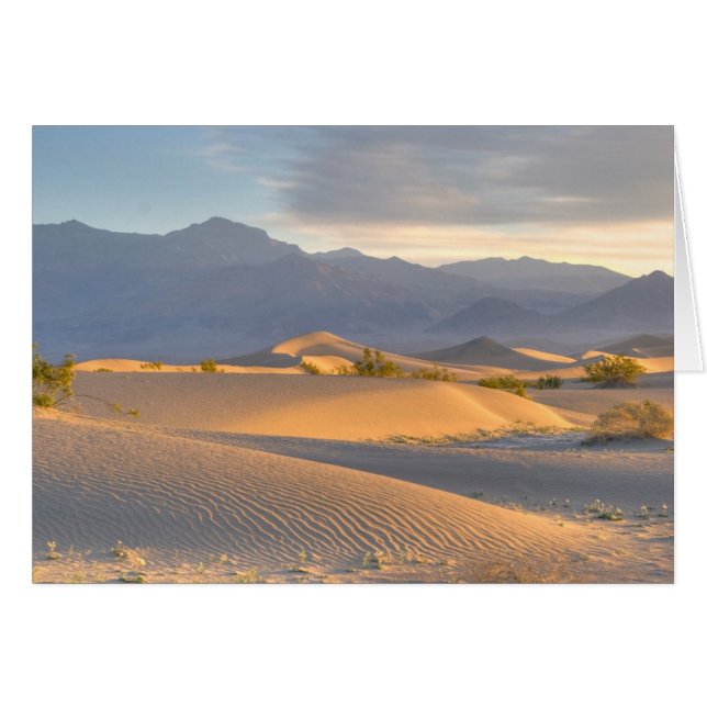 Desert Dawn (Front Horizontal)