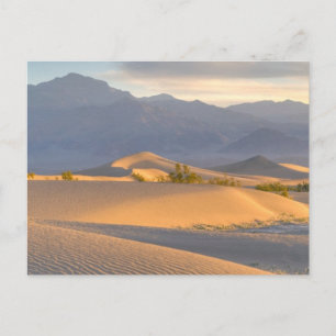 Desert Dawn Postcard