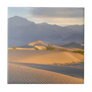 Desert Dawn Tile