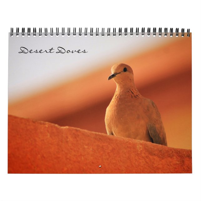 Desert Doves Calendar (Cover)