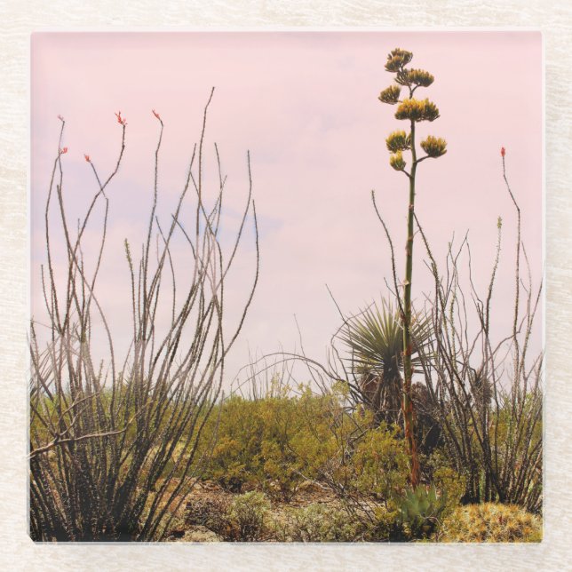 Desert Dreams New Mexico Agave & Ocotillo Glass Coaster (Front)