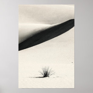 Desert Dune Shadows Monochrome Nature Poster