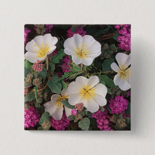 Desert Evening Primrose and Desert Sand Verbena, 15 Cm Square Badge