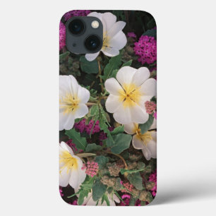 Desert Evening Primrose and Desert Sand Verbena, iPhone 13 Case