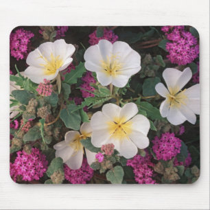 Desert Evening Primrose and Desert Sand Verbena, Mouse Mat