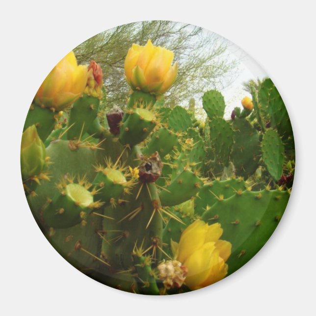 Desert Flower Magnet (Front)