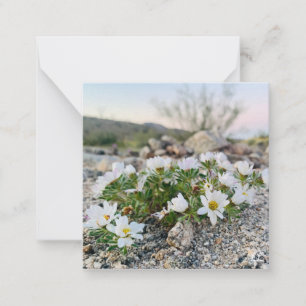 Desert Flowers Card