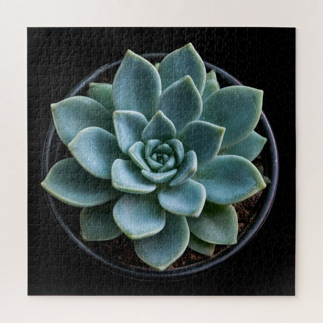 Desert Geometry Jigsaw Puzzle (Vertical)