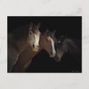 Desert Ghosts Postcard