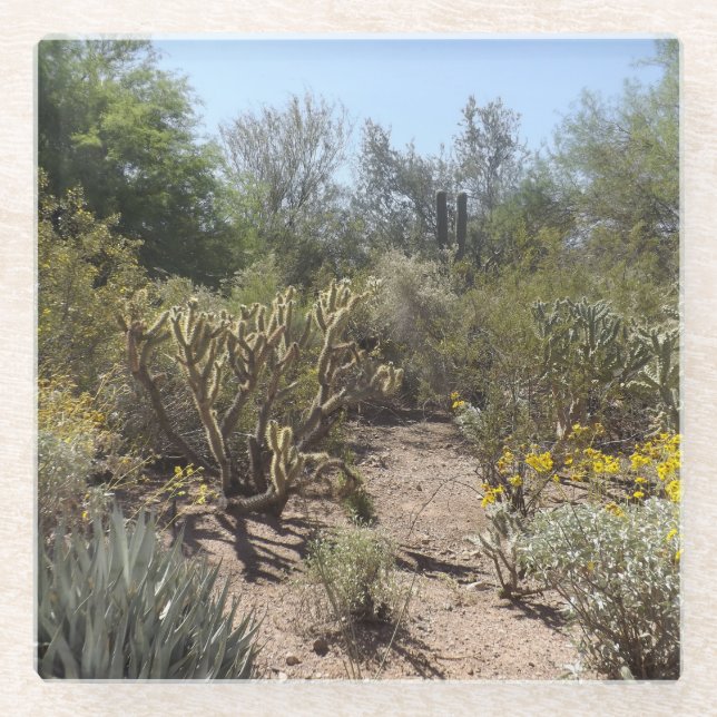 Desert Glass Coaster (Front)