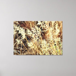 desert grasses wrapped canvas