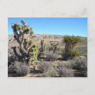 Desert Greenery Postcard