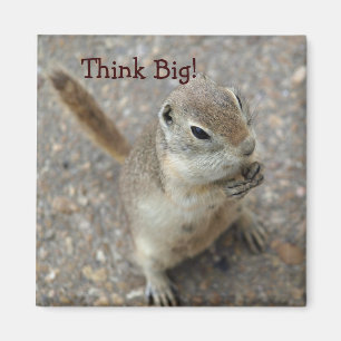 Desert Ground Squirrel Animal Motivational Magnet