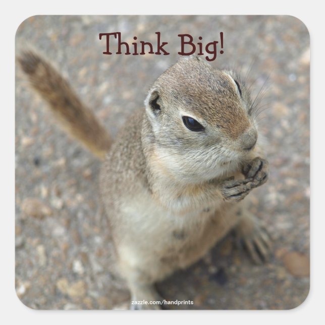Desert Ground Squirrel Animal Motivational Square Sticker (Front)