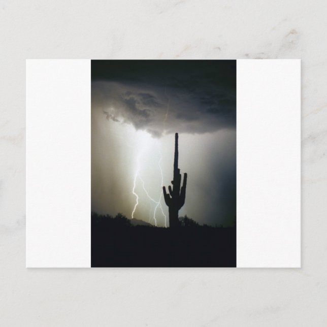 Desert Highlands Lightning Postcard (Front)