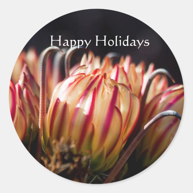 Desert Holiday in Bloom Classic Round Sticker (Front)