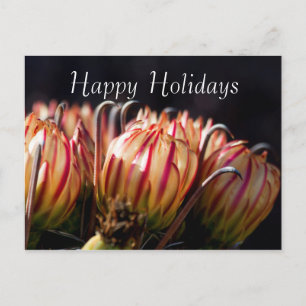 Desert Holiday in Bloom, Happy Holidays