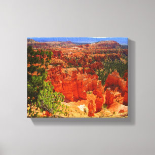 Desert Hoodoos Stretched Canvas Print