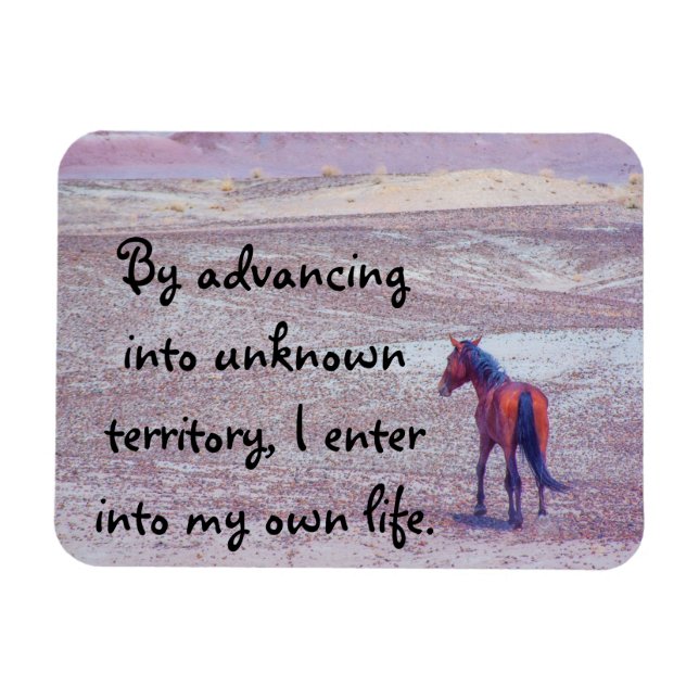 Desert Horse P8640 Magnet (Horizontal)