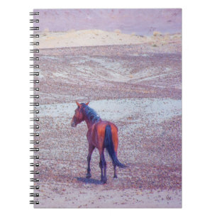 Desert Horse P8640 Notebook