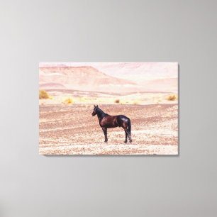 Desert Horse P8664 Canvas Print
