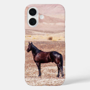 Desert Horse P8664 iPhone 16 Case
