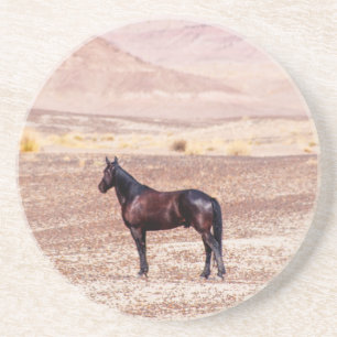 Desert Horse P8664 Coaster