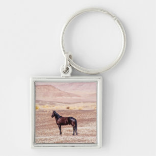 Desert Horse P8664 Key Ring