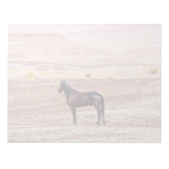 Desert Horse P8664 Notepad (Front)