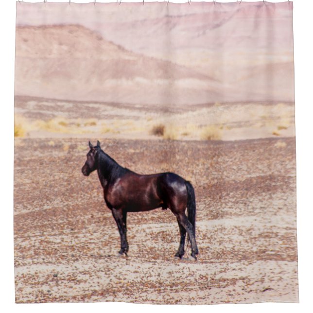 Desert Horse P8664 Shower Curtain (Front)