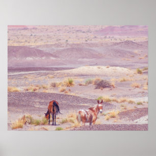Desert Horses P8639 Poster