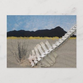 Desert Iconic in the manner of Georgia O'Keeffe. Postcard