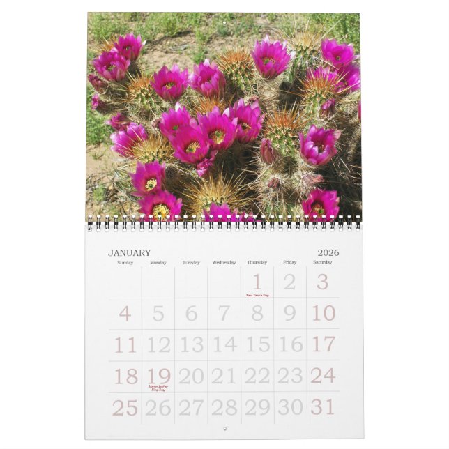 DESERT IN BLOOM CALENDAR (Jan 2026)