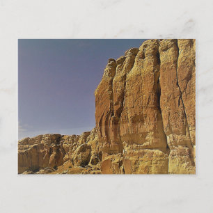 Desert in New Mexico Postcard