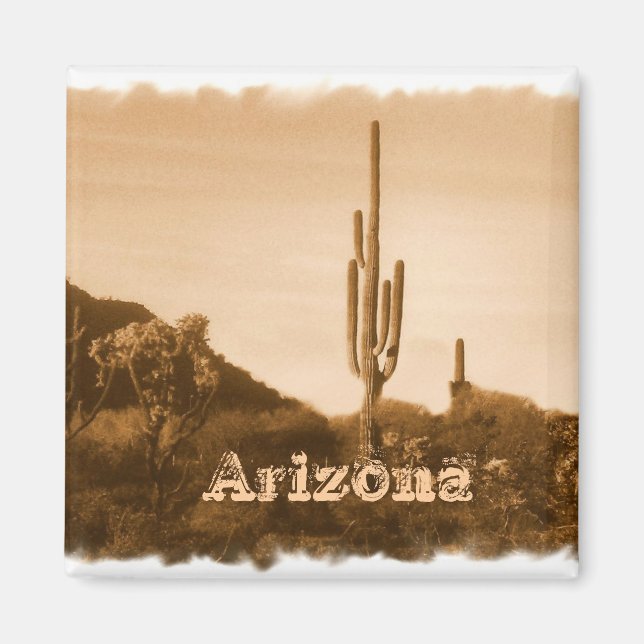 Desert in sepia ,Arizona Magnet (Front)