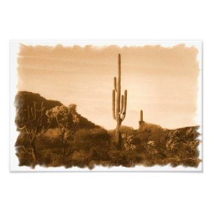 desert in sepia photo print