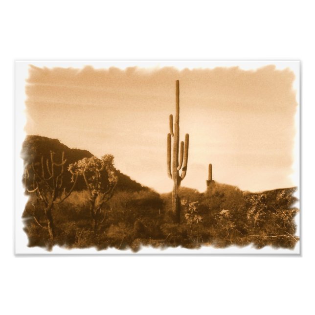 desert in sepia photo print (Front)