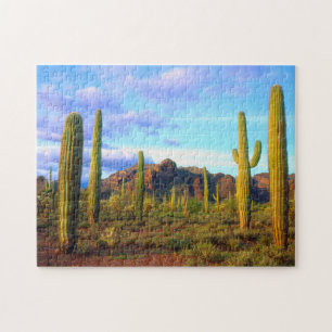 Desert in springtime jigsaw puzzle
