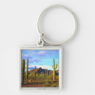 Desert in springtime key ring