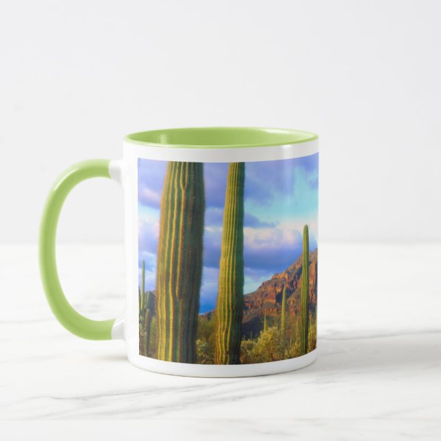 Desert in springtime mug (Left)