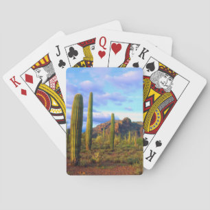 Desert in springtime playing cards