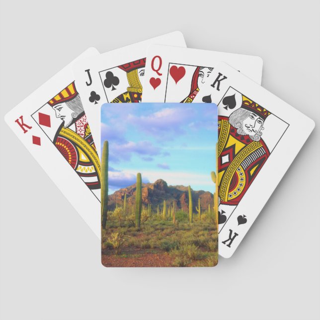 Desert in springtime playing cards (Back)