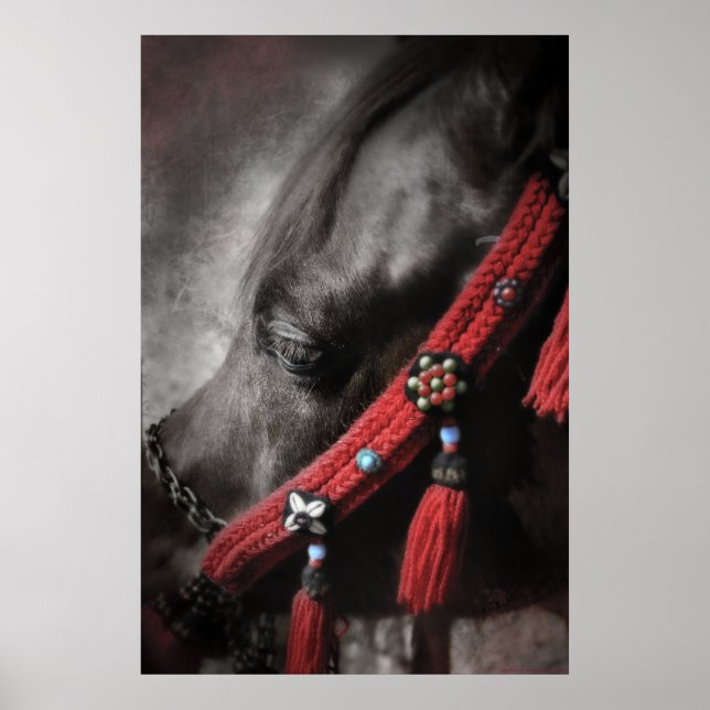 Desert Jewel Poster (Front)