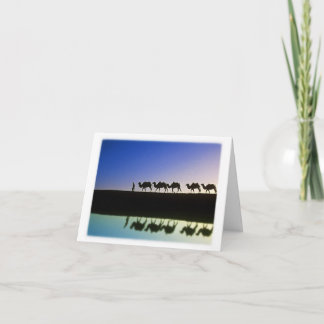 Desert Journey - Thank You